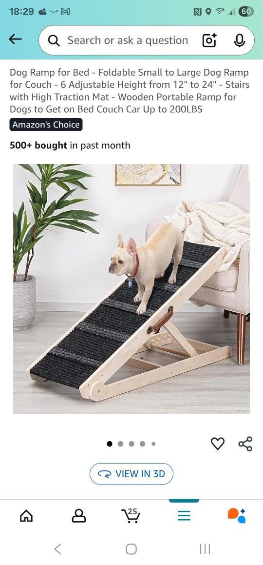 Dog Ramp