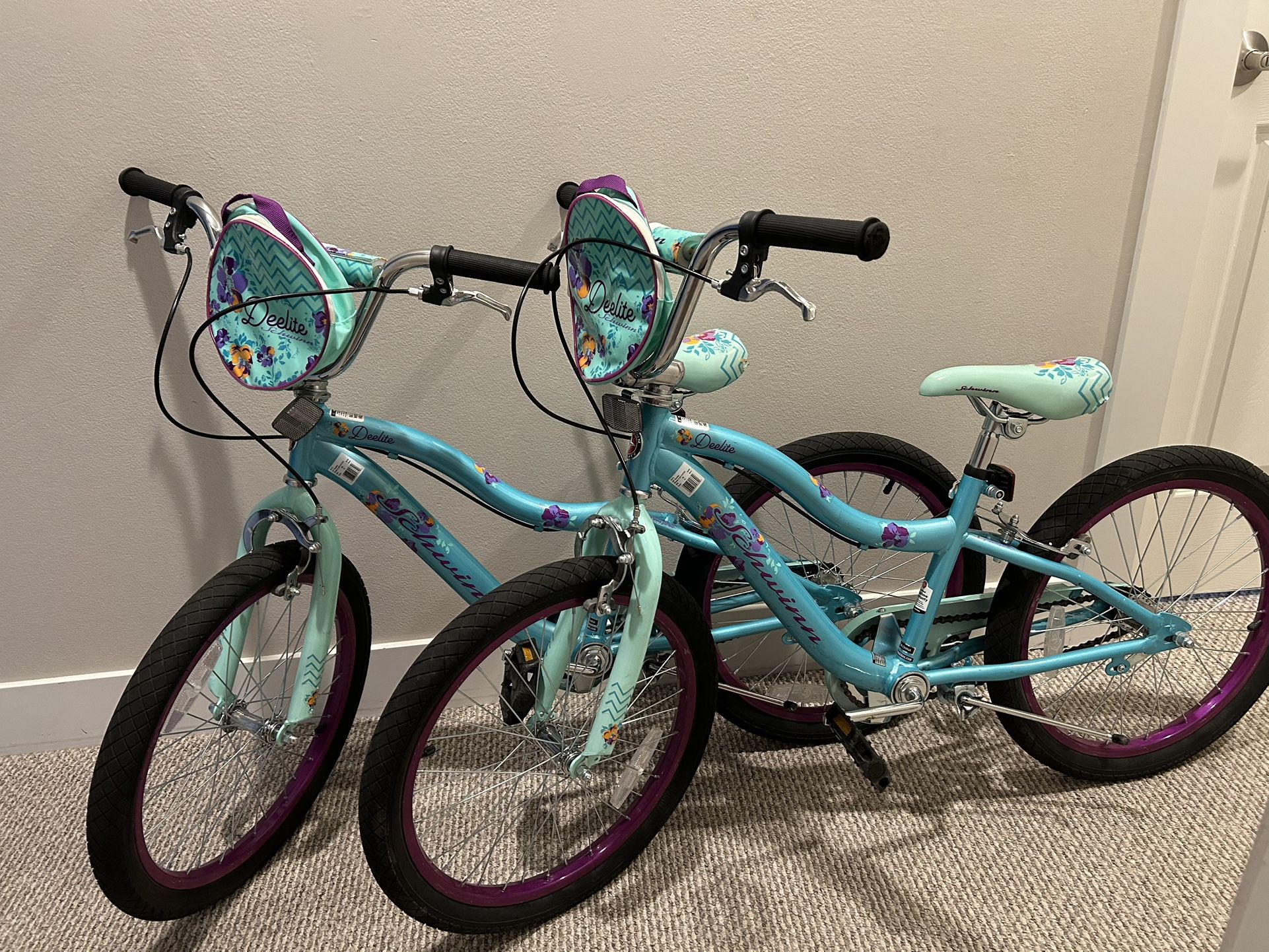 Schwinn Deelite 20” Youth 2 pieces 🚲 🚲 -Mint Green 