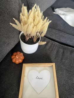 Cute Decor