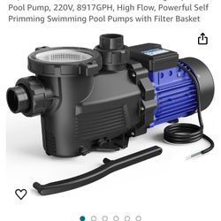 Pool Pump
