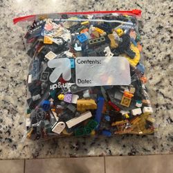 Random Lego Pieces Gallon Bag