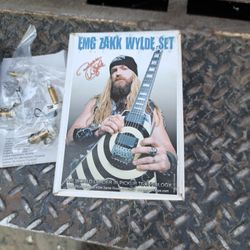 Email Zank Wylde Set