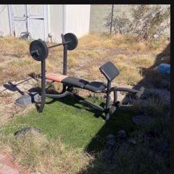 Weight Bench With Bar And Weights 