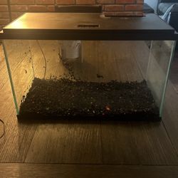 Fish Tank