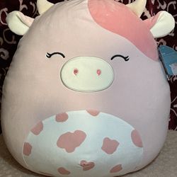 Clay Squishmallow