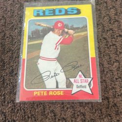 Baseball Card Pete Rose 