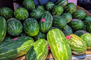 Seeded watermelon