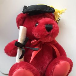 Graduation Teddy Bear 👩‍🎓 🧸 