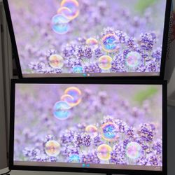 Dell Monitors w/ Arm Mount - 24" 1080p 120hz