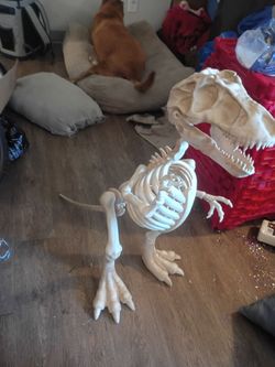 Large T-Rex Dinosaur Skeleton 3ft tall Figure