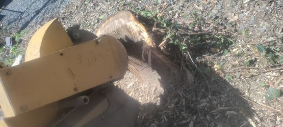 Stump Grinding 