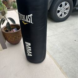 Everlast MMA boxing bag