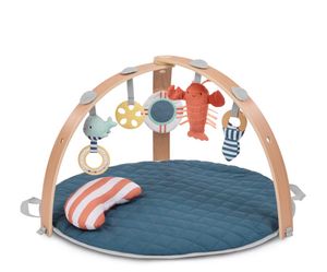 Play Gym Mat