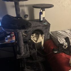 Cat tower and Bed
