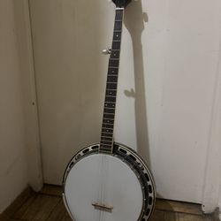 Rover Resonator Banjo 
