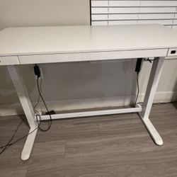 Standing Desk 