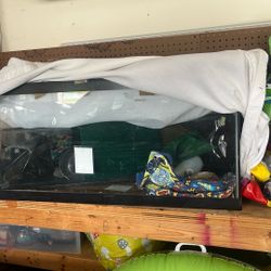 40 Gallon Tank