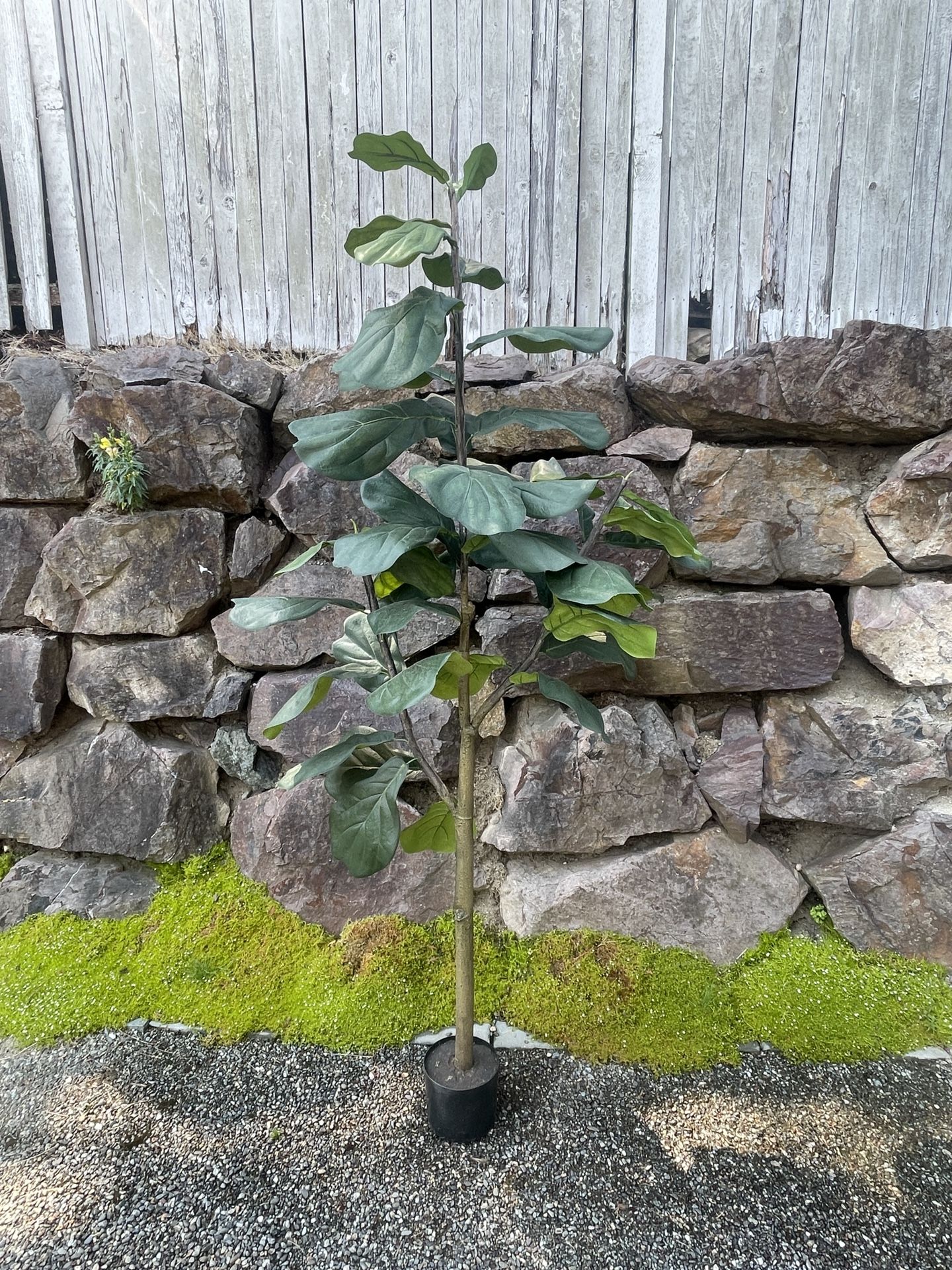 Artificial Fiddle Leaf Fig