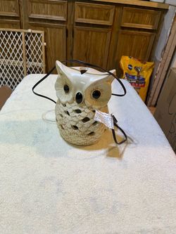 Owl light