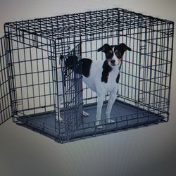 New  XLarge Crate, Cage, Crate, Kennels For Dog/Pets