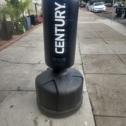 Century Wave Master Stand Bag