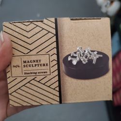 Desktop Magnetic Sculpture (4 Availablr)