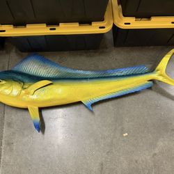 60" Bull Dolphin Left Half Mount (Mahi) Replica
