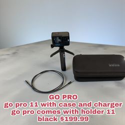 GO PRO go pro 11 with case and charger go pro comes with holder 11 black 