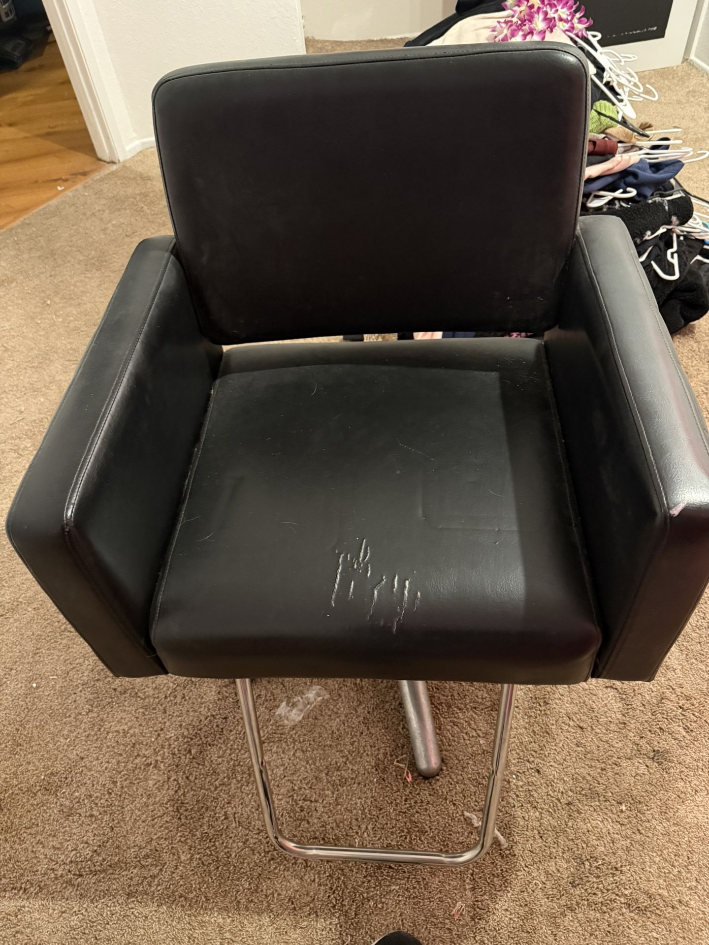 Salon Chair
