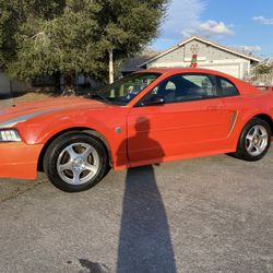2004 Mustang 40th Anniversary 