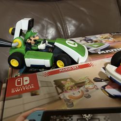 Mario/Luigi MarioKart Live Home Circuit