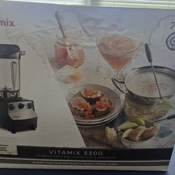 Vitamix 5300