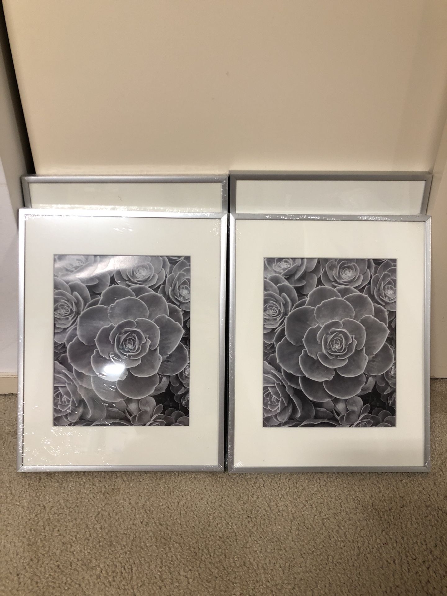 Picture Frames 11x14 (Set of 4)