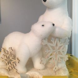 Ellen Degeneres Polar bears