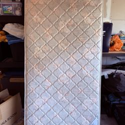 FREE Twin Mattress