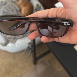 Predator 2 Sunglasses Ray Bands Brown 
