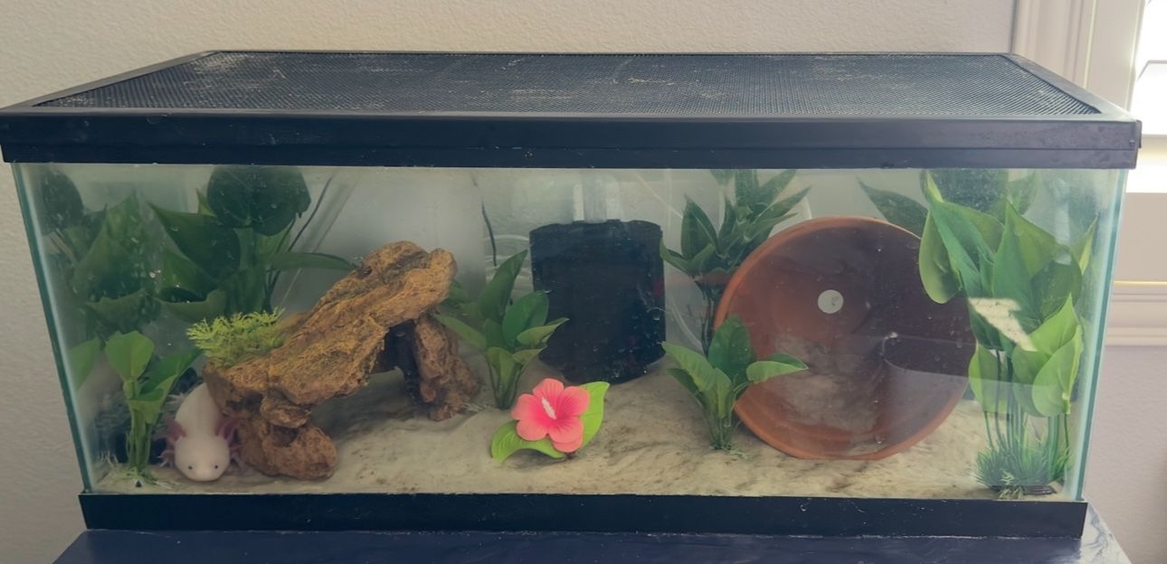 20 Gallon Long Tank With Filter And Lid