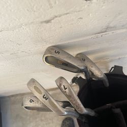 Evolution  Golf Clubs 