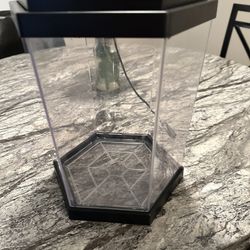 Small Fish Tank