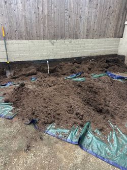 FREE SOIL