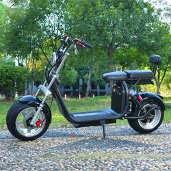 Electric Bike 
