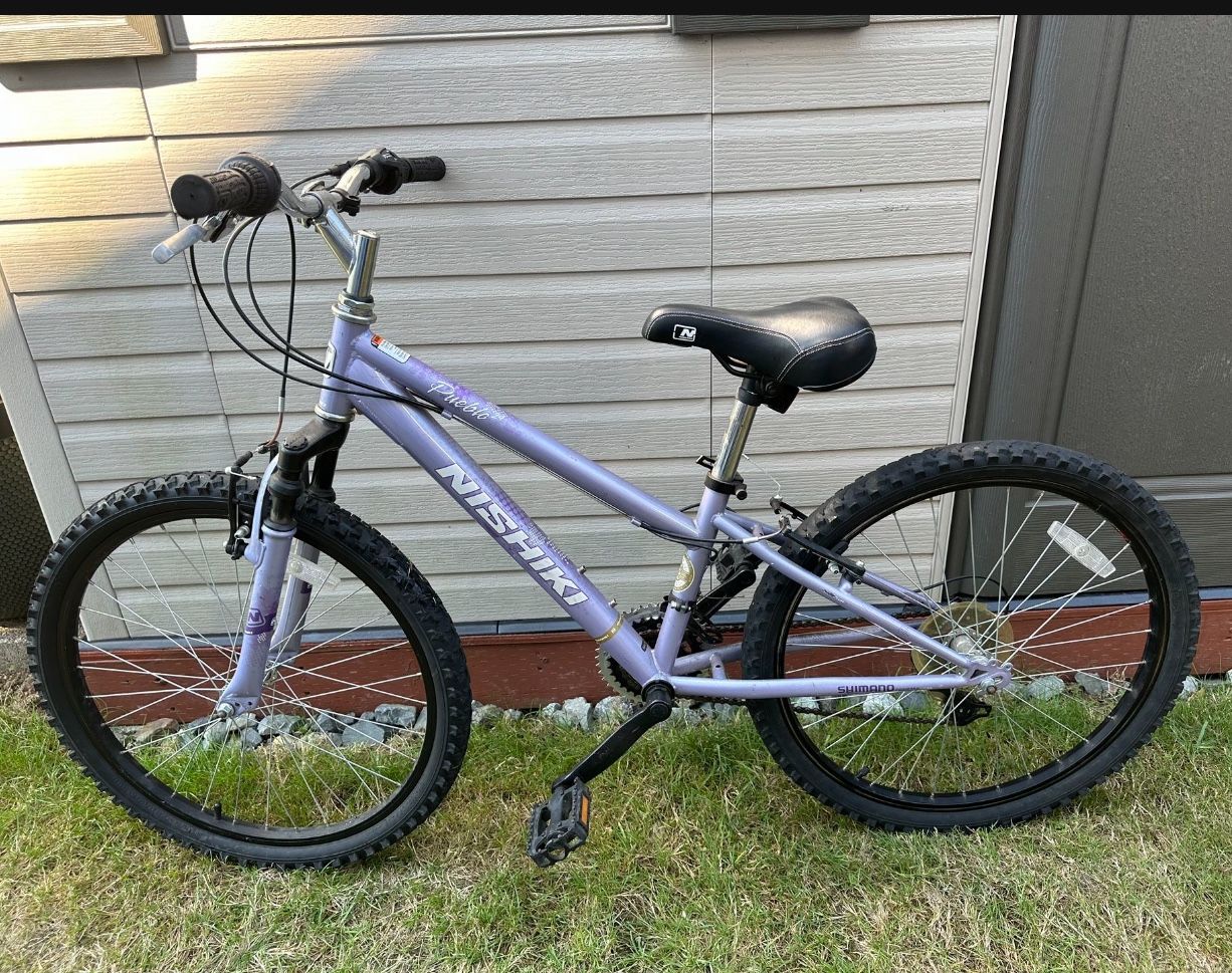 NISHIKI PUEBLO (24 In - Main Image