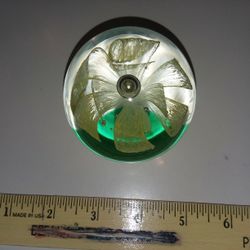 Glass Paperweight 
