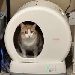 Cat Litter Box , XX-Large Extra Large Litter Boxes for Large Cats,Enclosed Removable Metal Cat Box with High Sided Enclosure,Magnetic Door,40L Box, Li