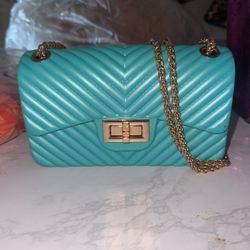 Brand new Plastic Purse