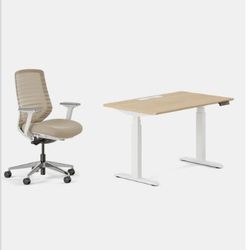 Branch Executive Standing Desk & Ergonomic Chair Pro