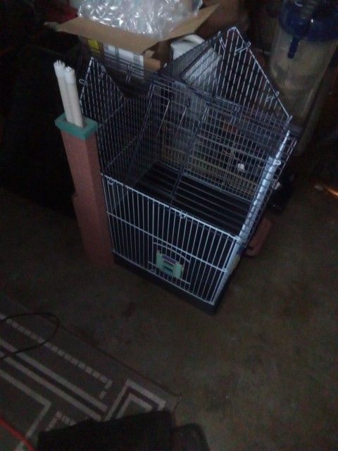 Bird Cage