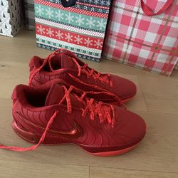  Nike Lebron XXI Basketball Shoes (HF5951-600, Bright Crimson/Gym Red Mens Shoes