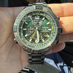 Stainless Steel Citizen Promaster Watch