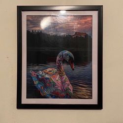 Swan cover in graffiti custom art piece on black frame